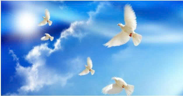 9+ Đoạn văn nghị luận xã hội về khát vọng (siêu hay) (ảnh 1)