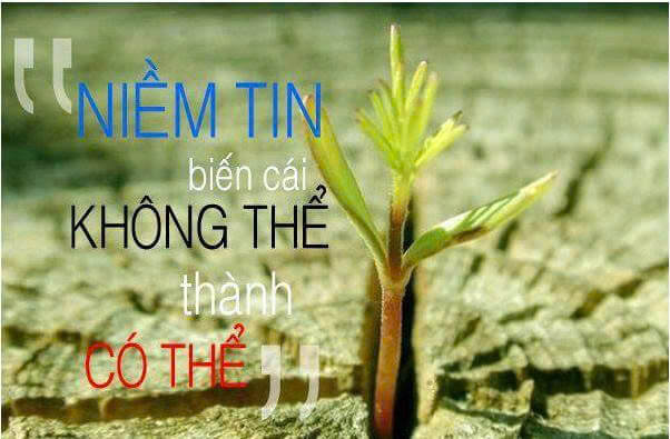 9+ Đoạn văn nghị luận xã hội về lòng tin (siêu hay) (ảnh 1)