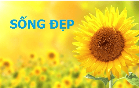 Đoạn văn nghị luận xã hội về quan điểm sống đẹp