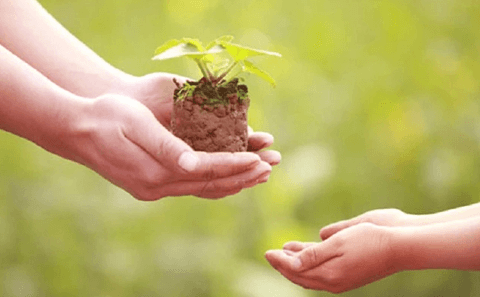 Đoạn văn nghị luận xã hội về quan niệm Sống là cho đi đâu chỉ nhận riêng mình