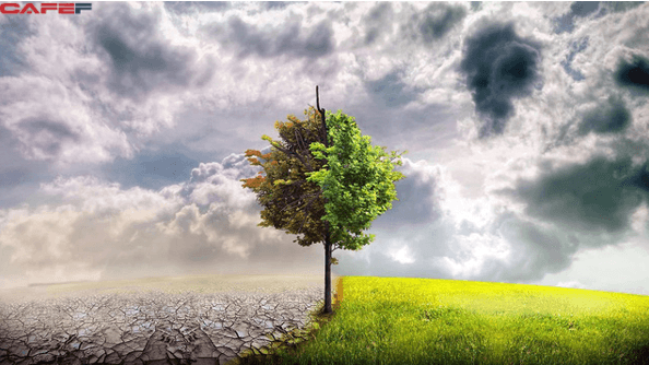 Đoạn văn nghị luận xã hội về ranh giới trong cuộc sống