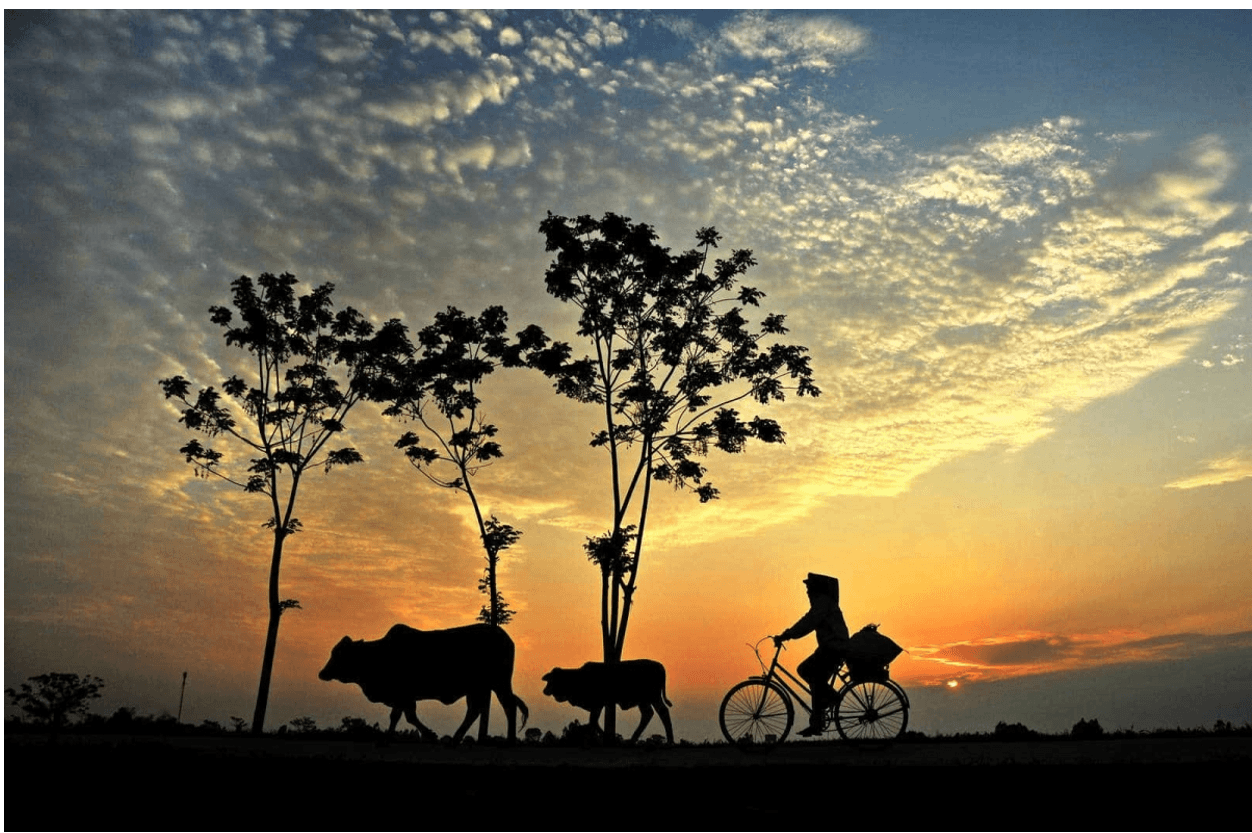 Đoạn văn nghị luận xã hội về vai trò của quê hương