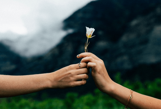 10+ Nghị luận xã hội 200 chữ về sự tha thứ (siêu hay)