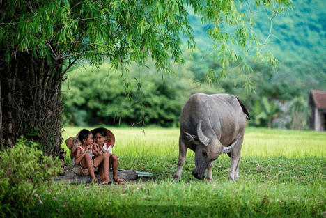 7+ Nghị luận xã hội 200 chữ về tình yêu quê hương (siêu hay)