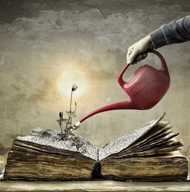 7+ Đoạn văn nghị luận xã hội giá trị của văn chương (siêu hay)