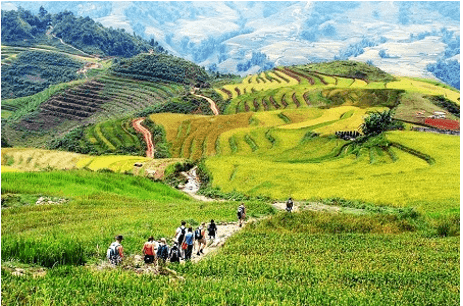 7+ Nghị luận xã hội 200 chữ về tuổi trẻ và trải nghiệm (siêu hay)