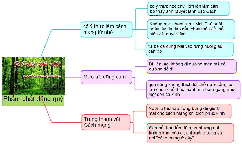 Phân tích hình tượng nhân vật Tnú