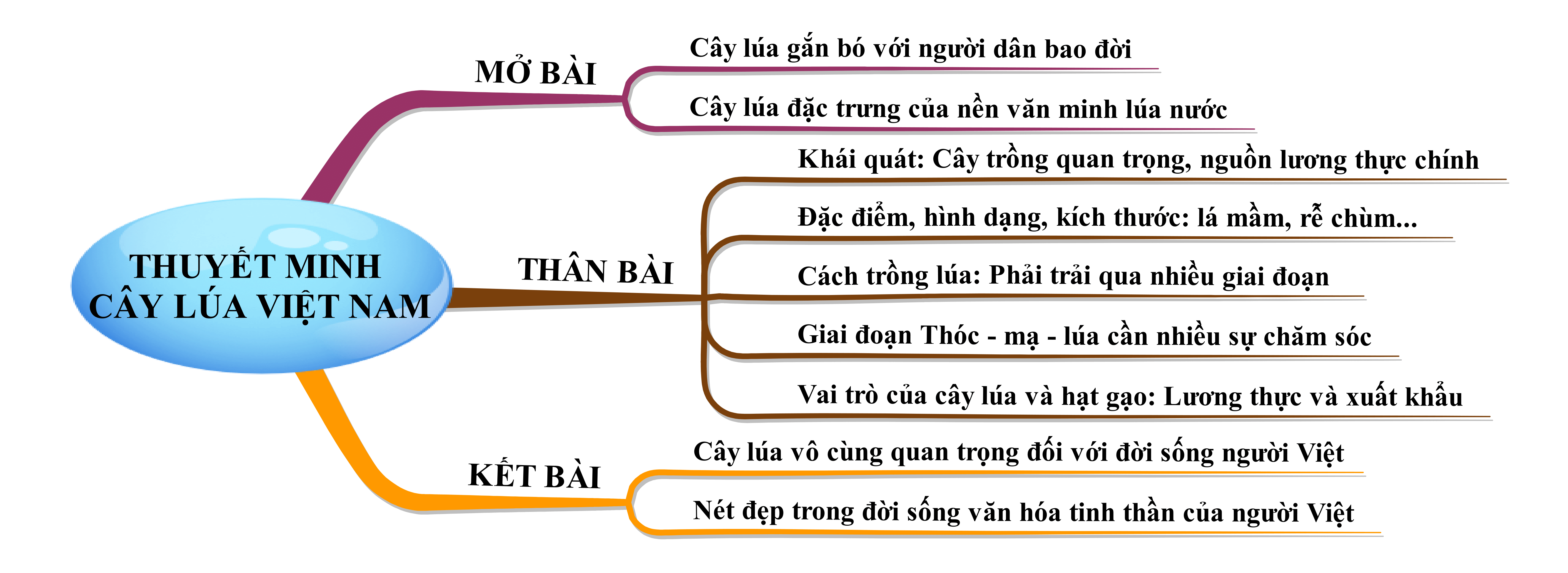 Thuyết minh về cây lúa