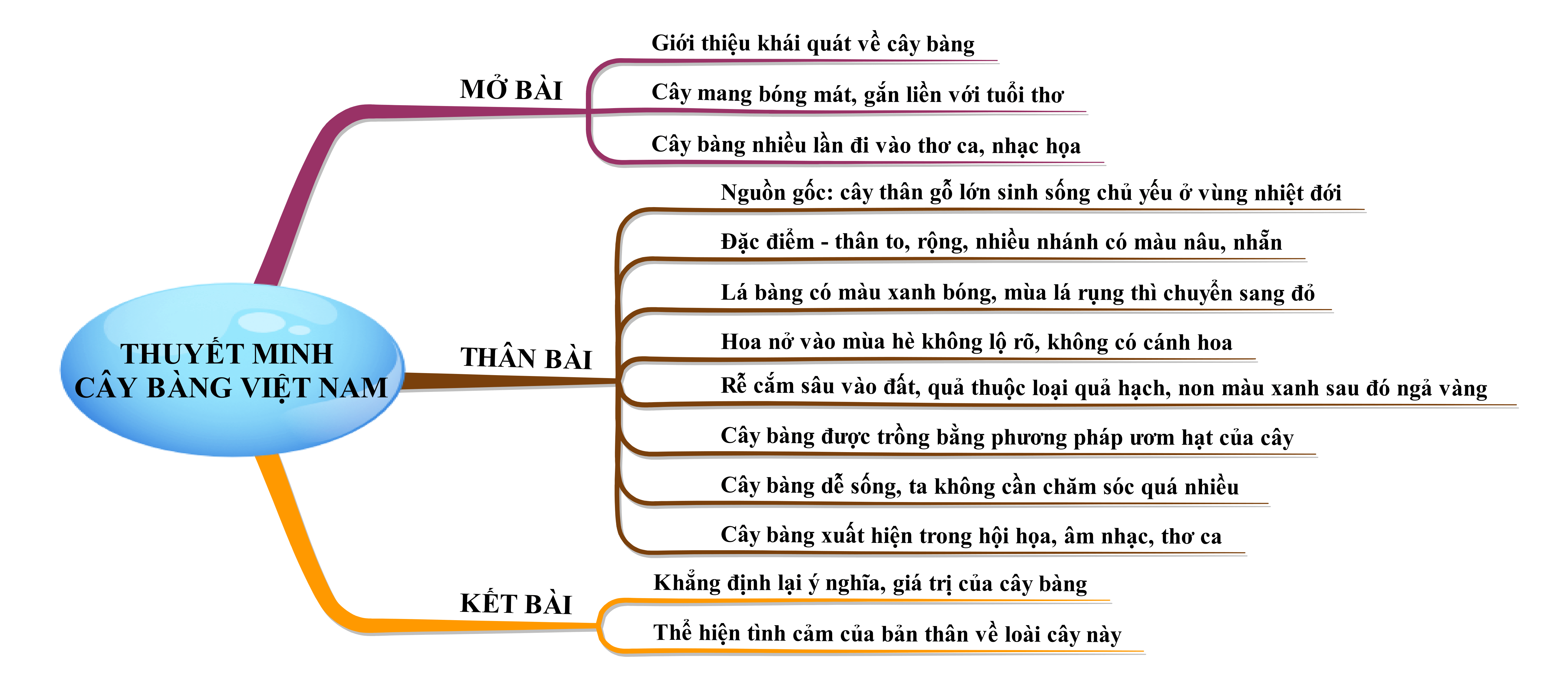 Thuyết minh về cây bàng