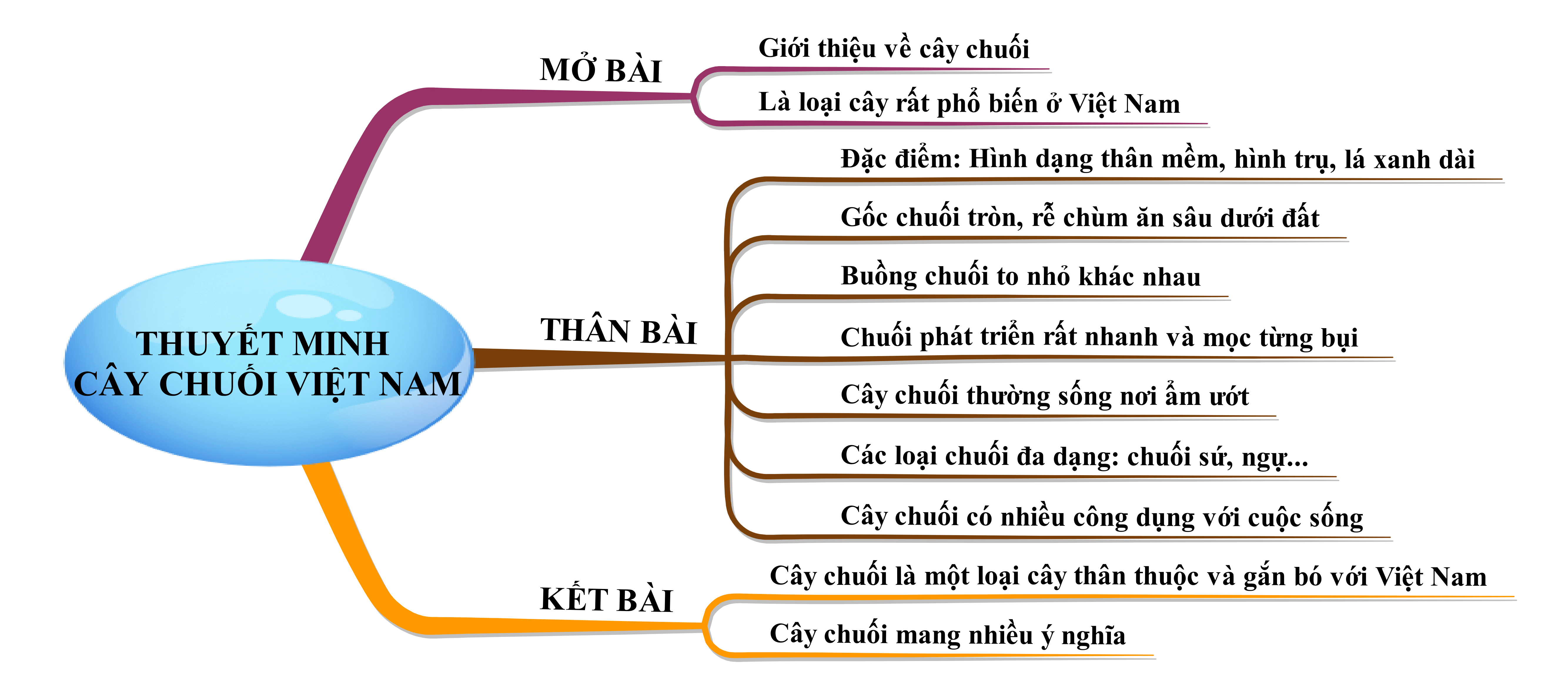 Thuyết minh về cây chuối