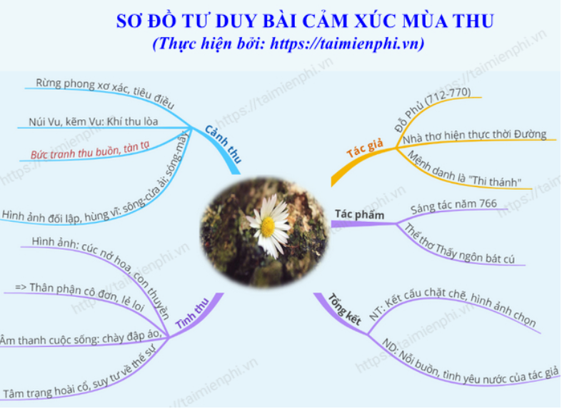 Sơ đồ tư duy Cảm xúc mùa thu (dễ nhớ, ngắn gọn)