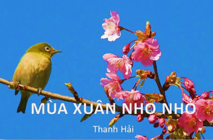 Dàn ý Thơ là hùng biện du dương hãy chứng minh điều đó qua bài thơ Mùa xuân nho nhỏ