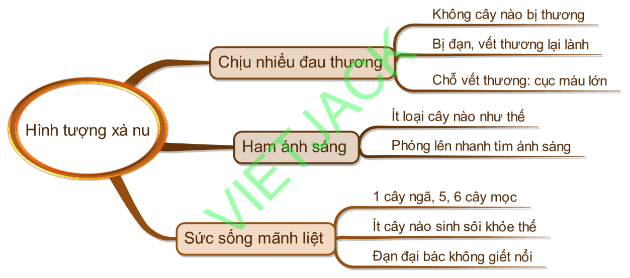 Sơ đồ tư duy Hình tượng rừng xà nu dễ nhớ, ngắn gọn