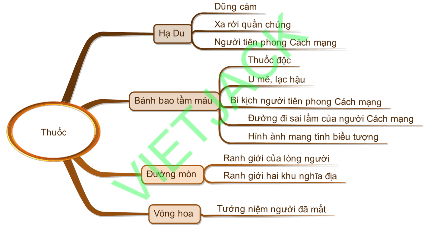 Sơ đồ tư duy Thuốc dễ nhớ, ngắn gọn