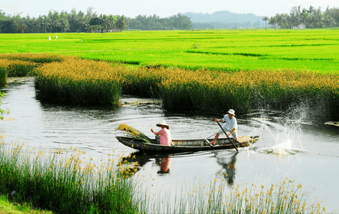 Top 20 bài Nghị luận văn học, dàn ý Viết bài làm văn số 3 lớp 12 hay nhất