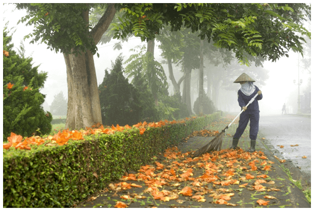 15+ Tả bác lao công trường em lớp 3 (học sinh giỏi)