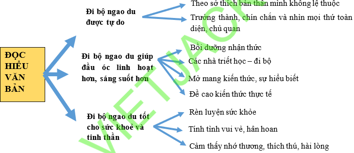 Sơ đồ tư duy Đi bộ ngao du dễ nhớ, ngắn gọn