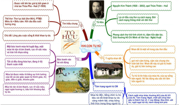 Sơ đồ tư duy Khi con tu hú