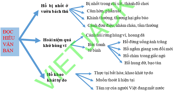 Sơ đồ tư duy Nhớ rừng dễ nhớ, ngắn gọn