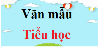 2000 Đoạn văn, bài văn mẫu Tiểu học (điểm cao)