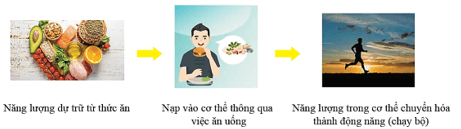 Lý thuyết Vật Lí 10 Cánh diều Bài 2: Bảo toàn và chuyển hóa năng lượng (ảnh 7)