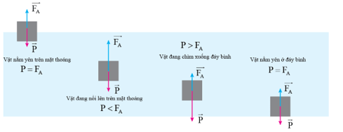 Lý thuyết Vật Lí 10 Cánh diều Bài 2: Một số lực thường gặp (ảnh 14)