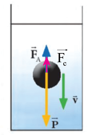 Quan sát hình 12.1, vẽ vecto lực cản của dầu tác dụng lên viên bi và mô tả chuyển động