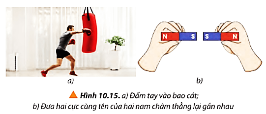 Quan sát Hình 10.15 và trả lời các câu hỏi trang 64