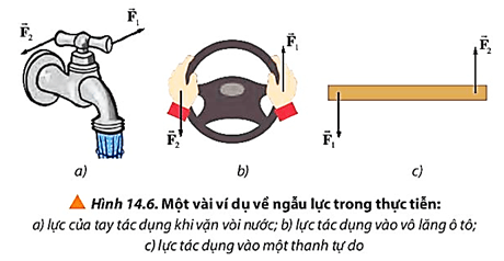 Quan sát Hình 14.6 và thực hiện các yêu cầu sau trang 89