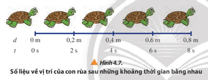 Dùng số liệu của hai chuyển động trong Hình 4.7 và 4.8: