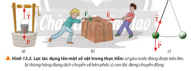 Hãy chọn một trường hợp trong các trường hợp ở hình 13.2 để xác định lực tổng hợp