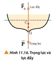 Lý thuyết Vật Lí 10 Chân trời sáng tạo Bài 11: Một số lực trong thực tiễn