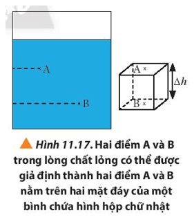 Lý thuyết Vật Lí 10 Chân trời sáng tạo Bài 11: Một số lực trong thực tiễn