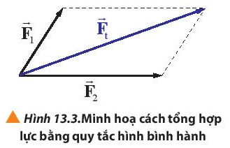 Lý thuyết Vật Lí 10 Chân trời sáng tạo Bài 13: Tổng hợp lực – Phân tích lực