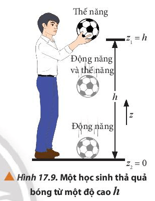 Lý thuyết Vật Lí 10 Chân trời sáng tạo Bài 17: Động năng và thế năng. Định luật bảo toàn cơ năng (ảnh 6)