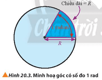 Lý thuyết Vật Lí 10 Chân trời sáng tạo Bài 20: Động học của chuyển động tròn (ảnh 1)