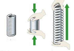 Lý thuyết Vật Lí 10 Chân trời sáng tạo Bài 22: Biến dạng của vật rắn. Đặc tính của lò xo (ảnh 3)