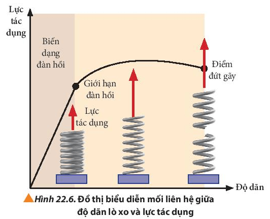 Lý thuyết Vật Lí 10 Chân trời sáng tạo Bài 22: Biến dạng của vật rắn. Đặc tính của lò xo (ảnh 4)