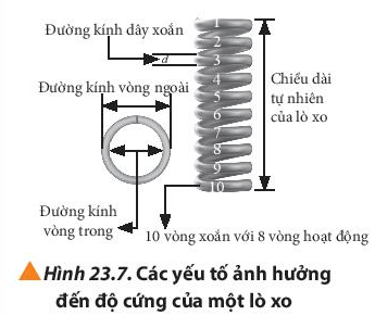 Lý thuyết Vật Lí 10 Chân trời sáng tạo Bài 23: Định luật Hooke (ảnh 4)