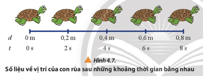 Lý thuyết Vật Lí 10 Chân trời sáng tạo Bài 4: Chuyển động thẳng