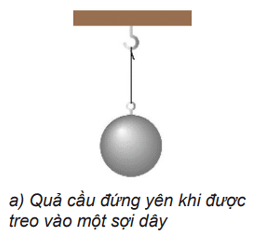 Quan sát các vật trong Hình 14.2. Giải thích tại sao quả cầu đứng yên