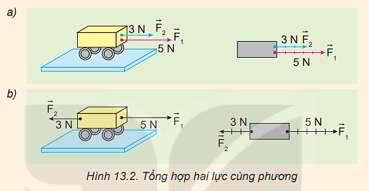 Dựa vào Hình 13.2, hãy nêu cách xác định độ lớn và chiều của hợp lực trong hai trường hợp