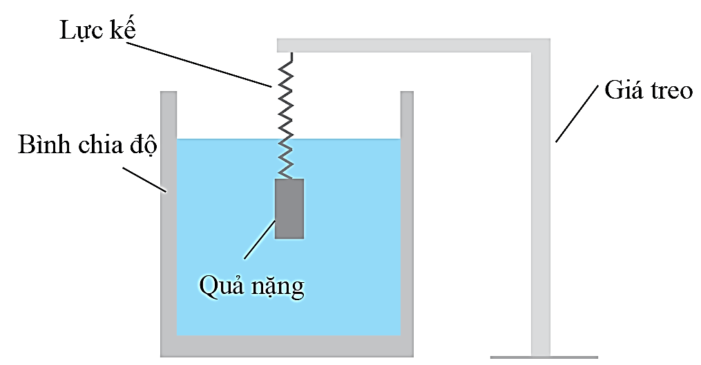 Hãy dùng các dụng cụ sau đây: Một lực kế