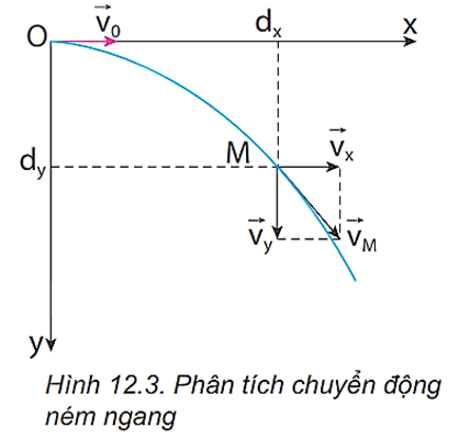 Lý thuyết Vật Lí 10 Kết nối tri thức Bài 12: Chuyển động ném