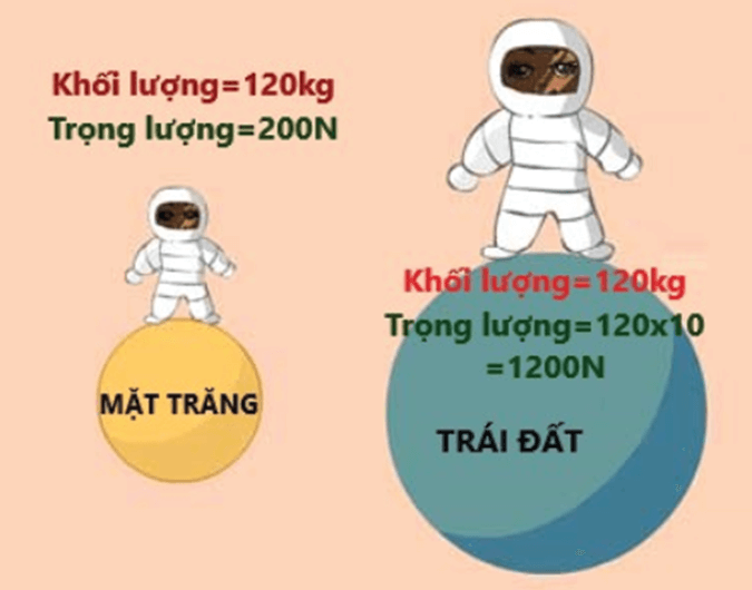 Lý thuyết Vật Lí 10 Kết nối tri thức Bài 17: Trọng lực và lực căng