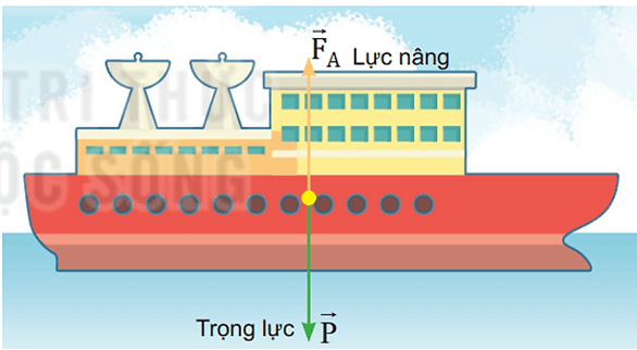 Lý thuyết Vật Lí 10 Kết nối tri thức Bài 19: Lực cản và lực nâng