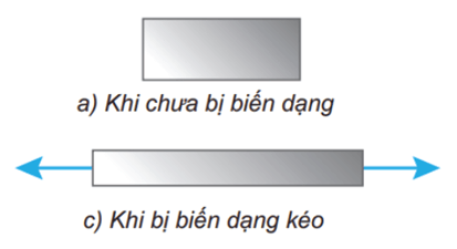 Lý thuyết Vật Lí 10 Kết nối tri thức Bài 33: Biến dạng của vật rắn