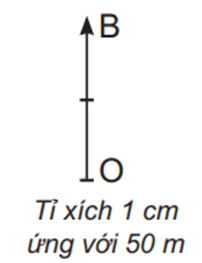 Lý thuyết Vật Lí 10 Kết nối tri thức Bài 4: Độ dịch chuyển và quãng đường đi được