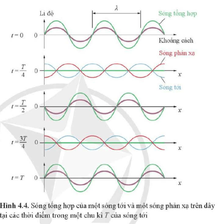 Hãy chỉ ra vị trí các nút sóng trên Hình 4.4. Xác định khoảng cách giữa hai nút sóng liên tiếp (ảnh 64)