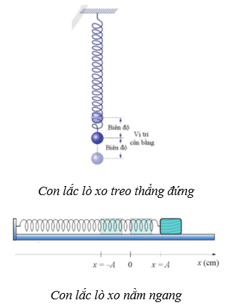 Lý thuyết Vật Lí 11 Cánh diều Bài 2: Một số dao động điều hoà thường gặp